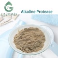 مسحوق إنزيم البروتياز القلوي إنزيم البروتياز الميكروبي