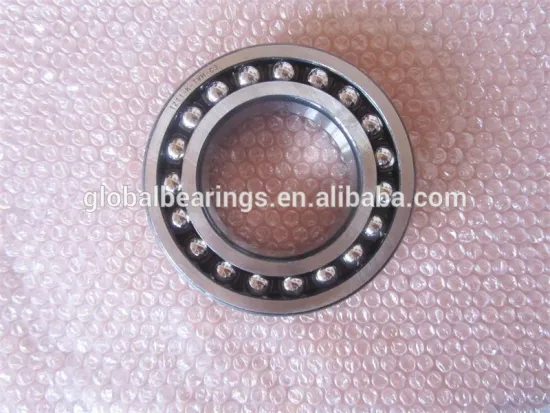 WZA Best selling 1211Self-aligning ball bearing 1211