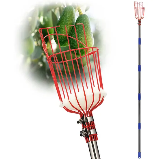 Adjustable Extendable Fruit Picker with Basket: Reach High Trees for Apples, Oranges, Lemons and More