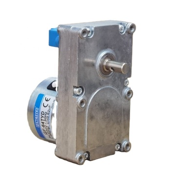 FengTech Pellet Grill Auger Drive Motor GF-64TYD Service Parts