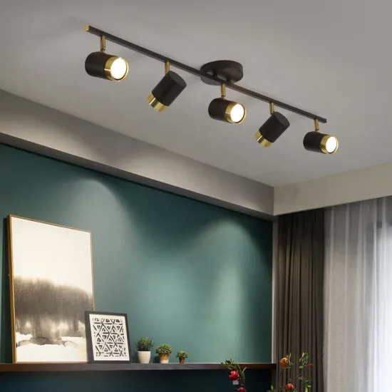 Adjustable Iron Art Baking Paint Process Lighting: GU10 LED Ceiling Spotlight