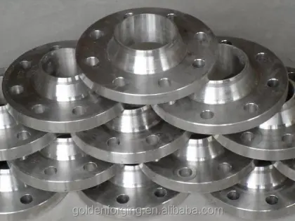 Steel Forging large Flange