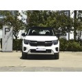 Kia Seltos 2023 5Seats SUV Gasoline New Car