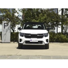 2023 Kia Seltos 1.5L Brand New Car