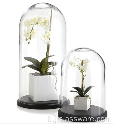 Cloche en verre transparent dôme avec fleur