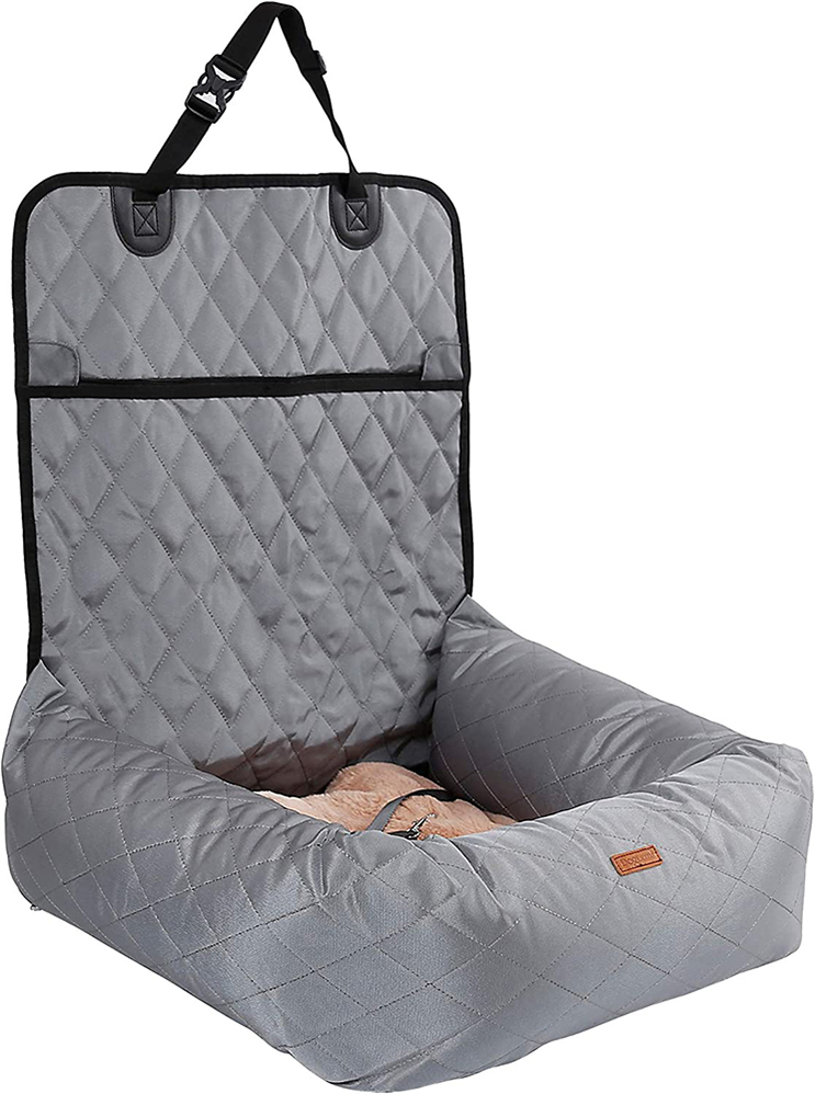 dog bed near me