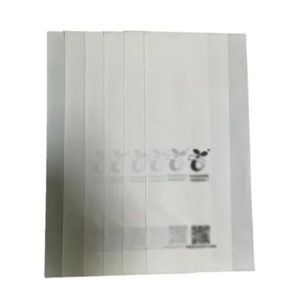 Custom OBE Frosted Biodegradable Plastic Bag