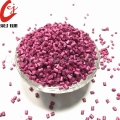 Pulvérisation gratuite Rose Granbatch Granule