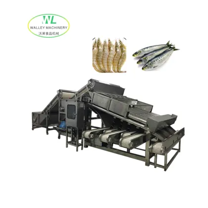 China Anchovy Grading and Sorting Equipment