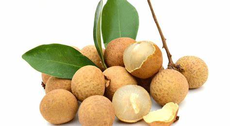 Longan extract (7)