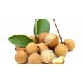 Natural Dried Dimocarpus Longan Extract