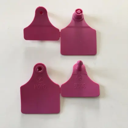 Animal veternairy husbandry