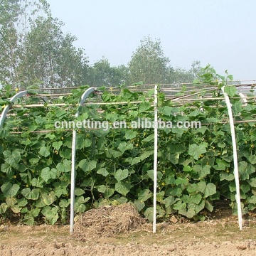 pepino / inhame / ervilha / feijão / rede de escalada para plantas de jardim