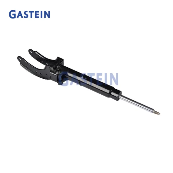 Low Defective Rate Air Compressor Pump for BMW G30 G31 G38 (37206886721, 37206874769)