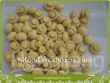 Fresh Preserved Champignon Whole in Drum