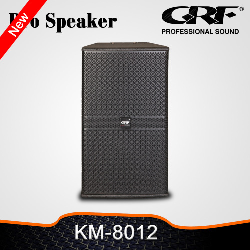 Grf 12 Inch 350W Stage Speaker