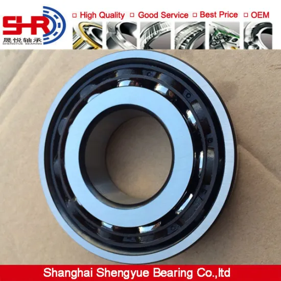Wholesale Supplier angular conatct ball bearings 7202 BEGAP