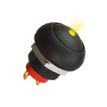 IP67 Round Cap LED Illuminated Push Button Switches