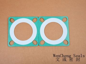 PTFE/CNAF Square Gasket Series
