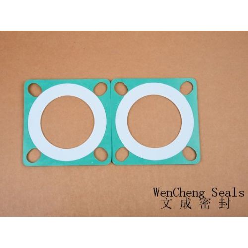 PTFE/CNAF Square Gasket Series