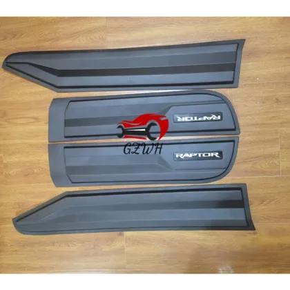 Raptor side door moulding