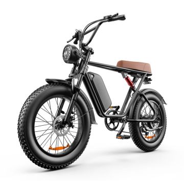 20 Inch Fat Tire Electric Bikes Motorcycle