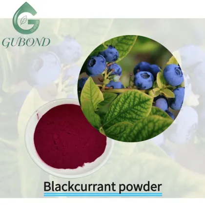 Blueberry Spray Dried Fruit Powder