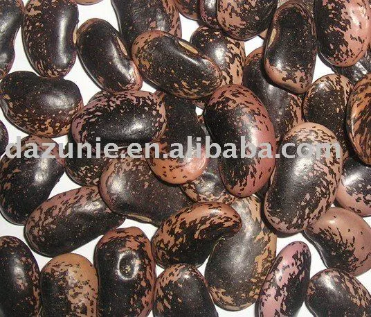 Large Black Speckled Kidney Beans