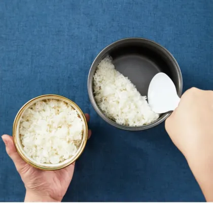 Stainless Steel Non-Stick Rice Cooker with Keep Warm Function and Electric Appliance Appointment Cooking