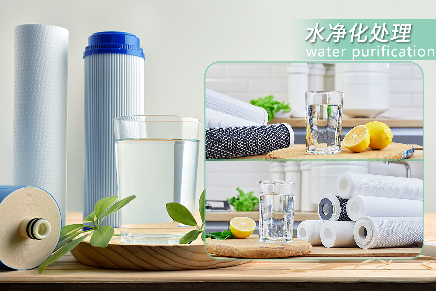 Water Purification