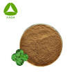 100% Devil's claw root extract 5% Harpagosides powder