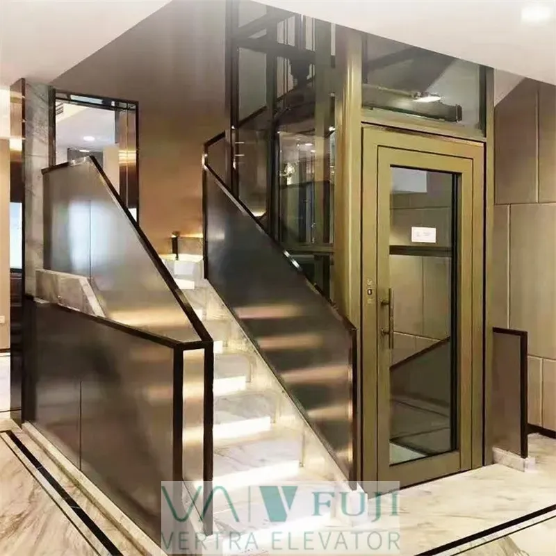 Traction 2/3 Floor Vertical Platform Villa Lift Home Sightseeing Elevator