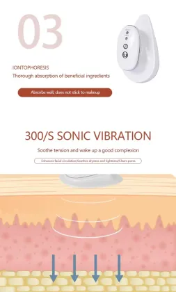 High-End Facial Care Devices for Women