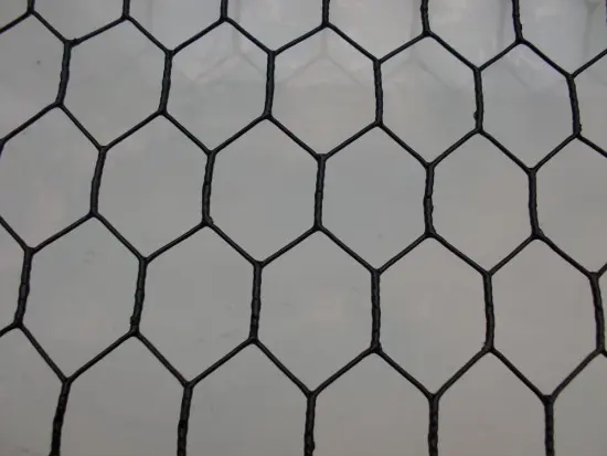 Hexagonal wire mesh