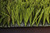 football Artificial grass
