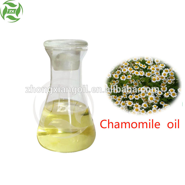 Minyak Esensial Organik Chamomile Organik Murni Alami