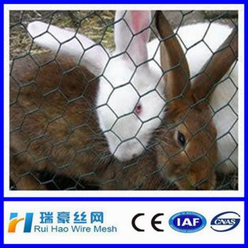 SGS certificated excellent cheap electro galvanized gabion rabbit cage/hot-diped galvanized gabion rabbit cages2*1*1/4*1*1