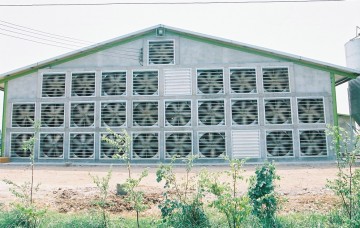 Jinfeng Poultry Farm Fan