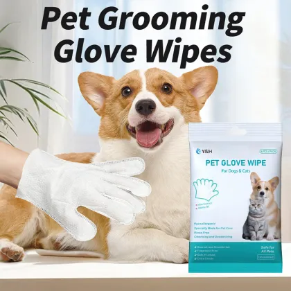 Pet Disposable Gloves