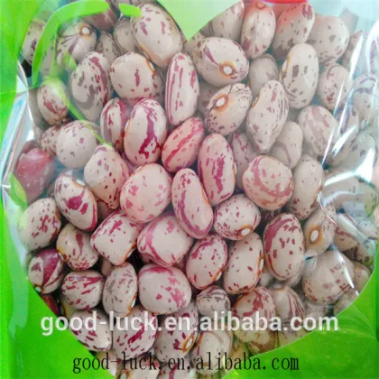 Speckled kidney beans