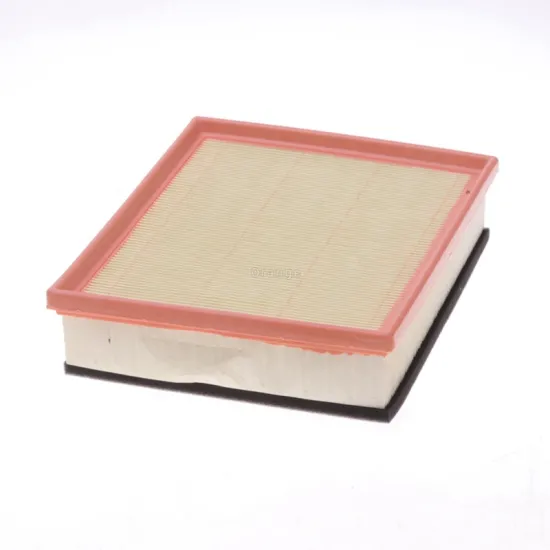 BMW Air Intake Engine Air Filter 13718511668 for 114/116/316i/318i/320i/325d/420i/520i - China OEM Factory