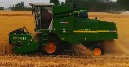 wheat wheat grain  cutter wheat reaper