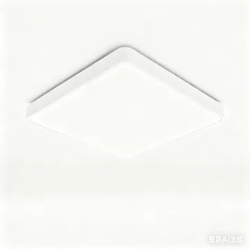 Modern LED Ceiling Light
