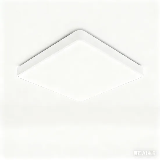 Modern LED Ceiling Light