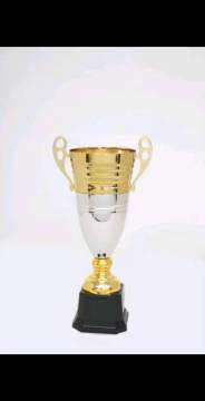 Metal trophy
