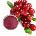 High-quality Organic Lingonberry Fruit Powder