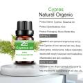 Best Prices 100% Organic Cypress Oil For Fragrance