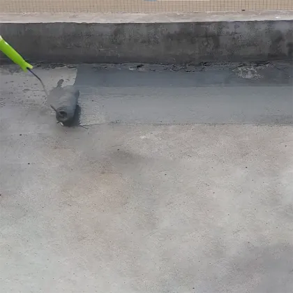 Polymer Cement Liquid Rubber Coating for Waterproof Interior Wall Paint