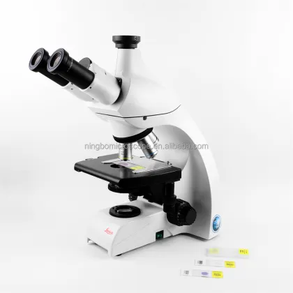 Original DM500 Biological Microscope with 40x-1000x Magnification - Binocular Scope