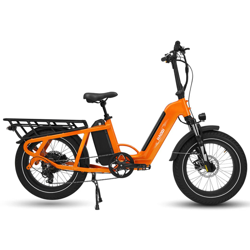 Camel 48V 27.8Ah Cargo Electric Bike